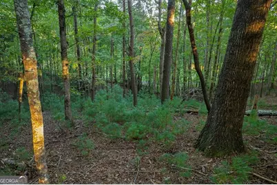 228 Toccoa Court #228, Ellijay, GA 30540 - Photo 11