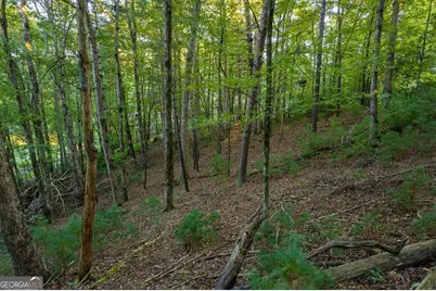 228 Toccoa Court #228, Ellijay, GA 30540 - Photo 15