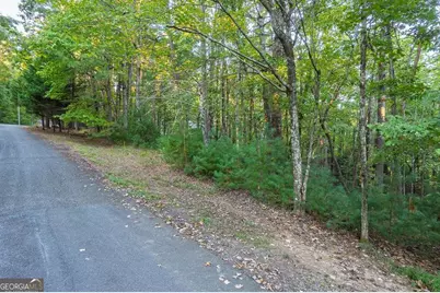 228 Toccoa Court #228, Ellijay, GA 30540 - Photo 17