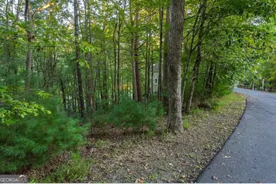 228 Toccoa Court #228, Ellijay, GA 30540 - Photo 13