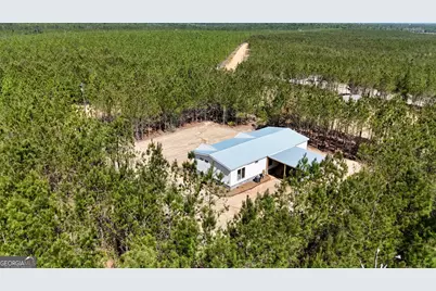 1262 Penny Morris Road, Baxley, GA 31513 - Photo 3