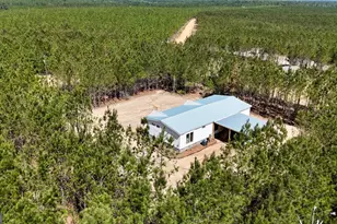 1262 Penny Morris Rd, Baxley, GA 31513 - Photo 3