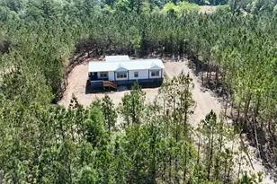1262 Penny Morris Rd, Baxley, GA 31513 - Photo 1