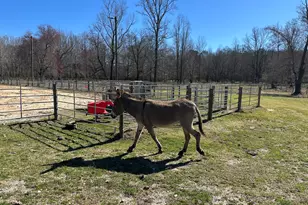 175 Acres Roosevelt Hwy, Warm Springs, GA 31830 - Photo 99