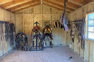 175 Acres Roosevelt Hwy, Warm Springs, GA 31830 - Photo 87