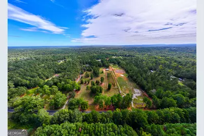 175 Acres Roosevelt Highway, Warm Springs, GA 31830 - Photo 3