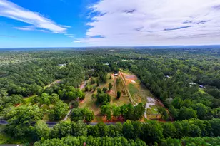 175 Acres Roosevelt Hwy, Warm Springs, GA 31830 - Photo 3