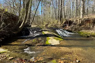 175 Acres Roosevelt Hwy, Warm Springs, GA 31830 - Photo 97
