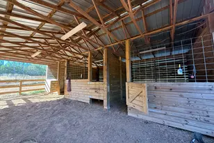 175 Acres Roosevelt Hwy, Warm Springs, GA 31830 - Photo 83