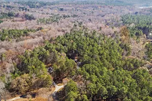 75 Homer Johnson Rd, Newnan, GA 30265 - Photo 47