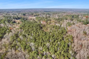 75 Homer Johnson Rd, Newnan, GA 30265 - Photo 45