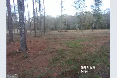 781 N Delray Road, Thomaston, GA 30286 - Photo 61
