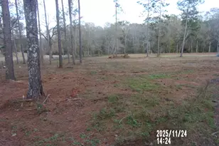 781 N Delray Rd, Thomaston, GA 30286 - Photo 61