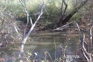 781 N Delray Rd, Thomaston, GA 30286 - Photo 9