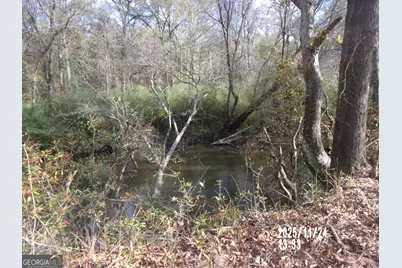 781 N Delray Road, Thomaston, GA 30286 - Photo 21