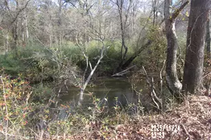 781 N Delray Rd, Thomaston, GA 30286 - Photo 21