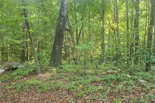 340 Pat Rich Dr, Canton, GA 30115 - Photo 5