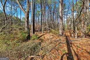 92 Vaughn Spur NE, Cartersville, GA 30121 - Photo 17