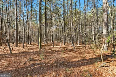 92 Vaughn Spur NE, Cartersville, GA 30121 - Photo 19