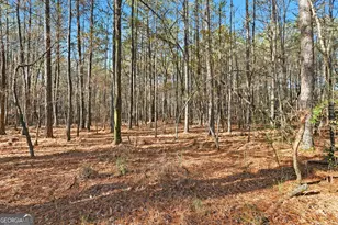 92 Vaughn Spur NE, Cartersville, GA 30121 - Photo 19