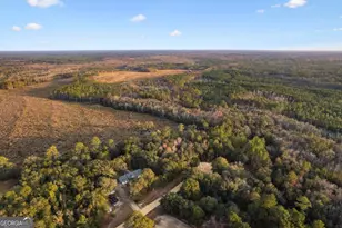 255 Spell Landing Rd, Hortense, GA 31543 - Photo 3