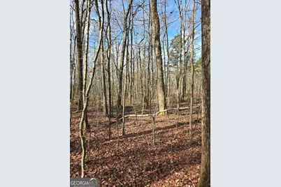 0 Yatesville Road, Barnesville, GA 30204 - Photo 7