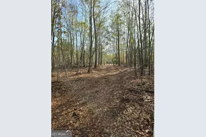 0 Yatesville Road, Barnesville, GA 30204 - Photo 5