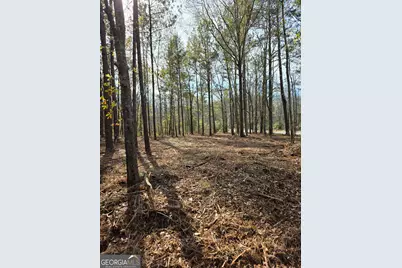 0 Yatesville Road, Barnesville, GA 30204 - Photo 3