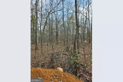 0 Yatesville Road, Barnesville, GA 30204 - Photo 9