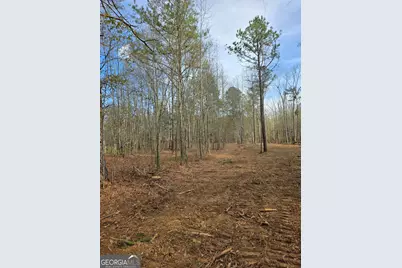 0 Yatesville Road, Barnesville, GA 30204 - Photo 11