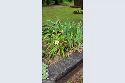 84 Weaver Lane, Buena Vista, GA 31803 - Photo 61