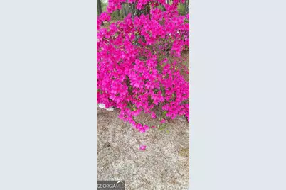 84 Weaver Lane, Buena Vista, GA 31803 - Photo 65