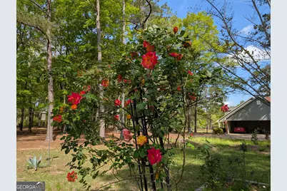 84 Weaver Lane, Buena Vista, GA 31803 - Photo 63