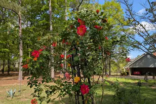 84 Weaver Ln, Buena Vista, GA 31803 - Photo 63