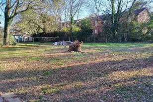 209 Gordon Ave, Calhoun, GA 30701 - Photo 29