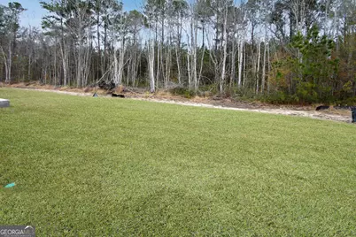 99 Cambium Circle, Richmond Hill, GA 31324 - Photo 39