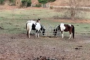 152 Main St, Gordon, GA 31031 - Photo 7