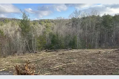 Lt37 Blue Creek Road, Morganton, GA 30560 - Photo 1