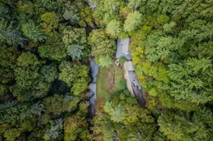 7670 Hiawassee Wilderness Trl, Hiawassee, GA 30546 - Photo 3