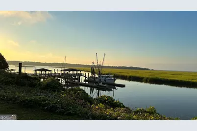 0 Pelican Perch Drive, Townsend, GA 31331 - Photo 1