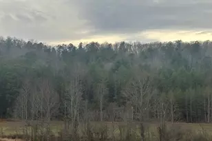 168 Warren Rd, Blairsville, GA 30512 - Photo 1