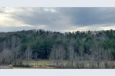 168 Warren Road, Blairsville, GA 30512 - Photo 3
