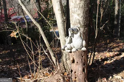 79 Maple Wood Lane, Cleveland, GA 30528 - Photo 13