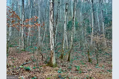 22 Walkers Ridge, Mineral Bluff, GA 30559 - Photo 5