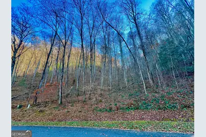 22 Walkers Ridge, Mineral Bluff, GA 30559 - Photo 13