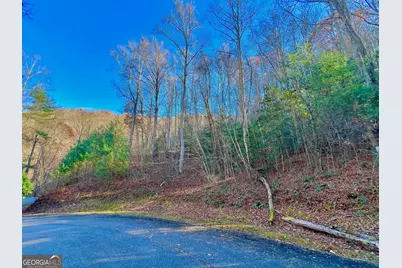 22 Walkers Ridge, Mineral Bluff, GA 30559 - Photo 23