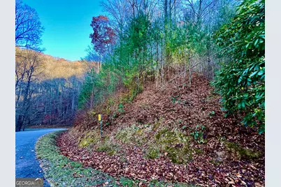 22 Walkers Ridge, Mineral Bluff, GA 30559 - Photo 19