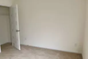 11899 Conrad Cir, Hampton, GA 30228 - Photo 23