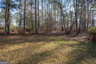 3986 Corinth Rd, Newnan, GA 30263 - Photo 23