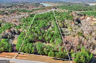 11 62+/- Ac New Franklin Rd, Hogansville, GA 30230 - Photo 1